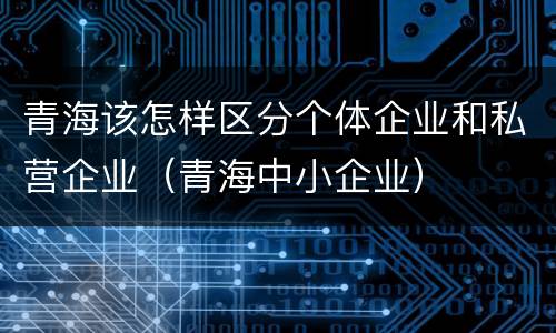 青海该怎样区分个体企业和私营企业（青海中小企业）