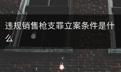 违规销售枪支罪立案条件是什么