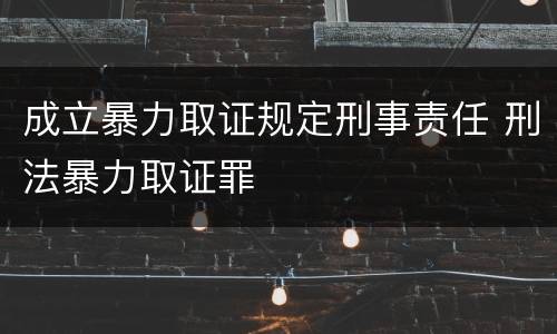 成立暴力取证规定刑事责任 刑法暴力取证罪