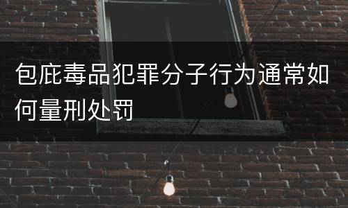 包庇毒品犯罪分子行为通常如何量刑处罚