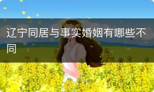 辽宁同居与事实婚姻有哪些不同