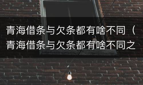 青海借条与欠条都有啥不同（青海借条与欠条都有啥不同之处）
