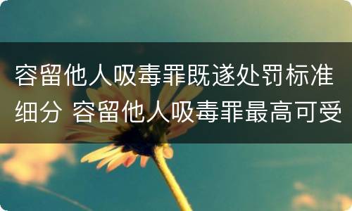 容留他人吸毒罪既遂处罚标准细分 容留他人吸毒罪最高可受什么处罚