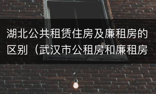 湖北公共租赁住房及廉租房的区别（武汉市公租房和廉租房区别）