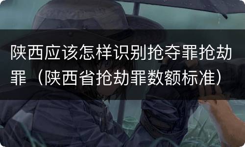 陕西应该怎样识别抢夺罪抢劫罪（陕西省抢劫罪数额标准）