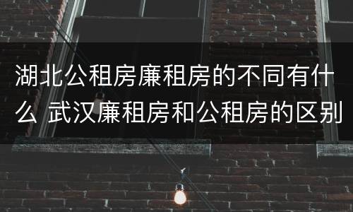 湖北公租房廉租房的不同有什么 武汉廉租房和公租房的区别