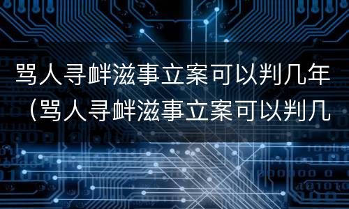 骂人寻衅滋事立案可以判几年（骂人寻衅滋事立案可以判几年呢）