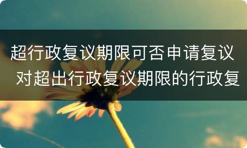 超行政复议期限可否申请复议 对超出行政复议期限的行政复议申请