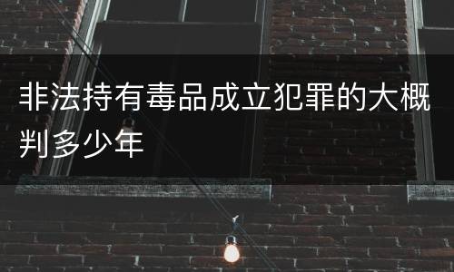 非法持有毒品成立犯罪的大概判多少年