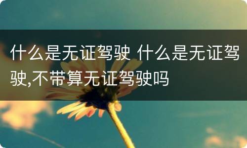 什么是无证驾驶 什么是无证驾驶,不带算无证驾驶吗