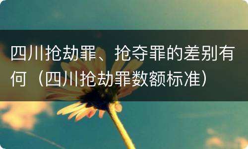 四川抢劫罪、抢夺罪的差别有何（四川抢劫罪数额标准）