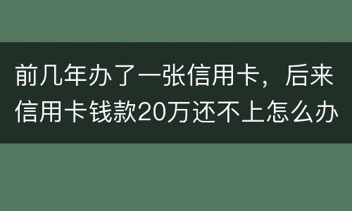 前几年办了一张信用卡，后来信用卡钱款20万还不上怎么办。