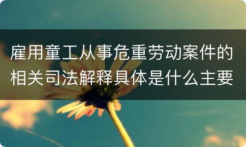 雇用童工从事危重劳动案件的相关司法解释具体是什么主要内容