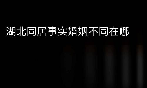 湖北同居事实婚姻不同在哪