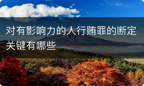 对有影响力的人行贿罪的断定关键有哪些