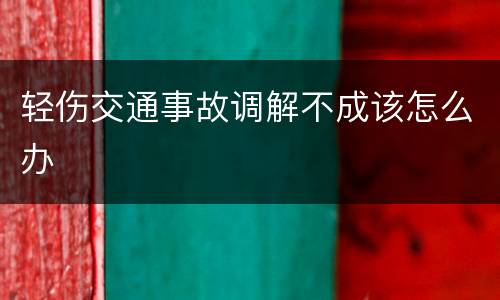轻伤交通事故调解不成该怎么办