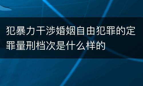 犯暴力干涉婚姻自由犯罪的定罪量刑档次是什么样的