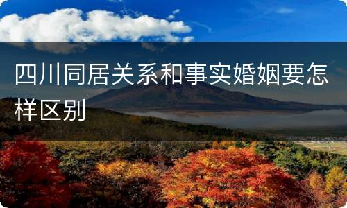 四川同居关系和事实婚姻要怎样区别