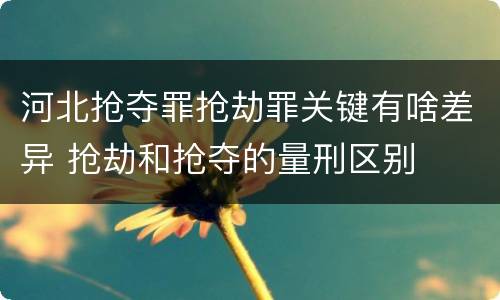 河北抢夺罪抢劫罪关键有啥差异 抢劫和抢夺的量刑区别