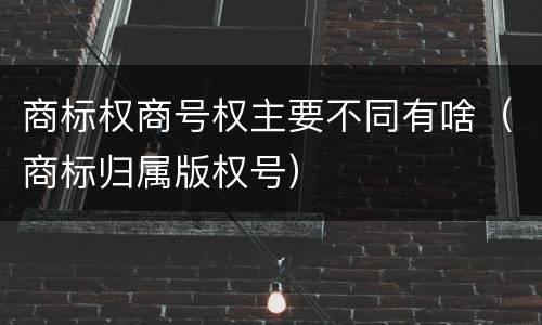 商标权商号权主要不同有啥（商标归属版权号）