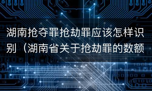 湖南抢夺罪抢劫罪应该怎样识别（湖南省关于抢劫罪的数额规定）