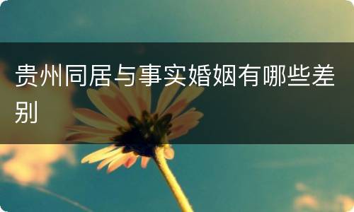 贵州同居与事实婚姻有哪些差别