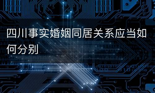 四川事实婚姻同居关系应当如何分别