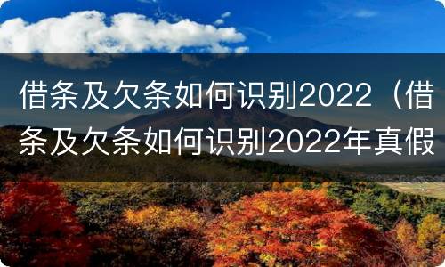 借条及欠条如何识别2022（借条及欠条如何识别2022年真假）