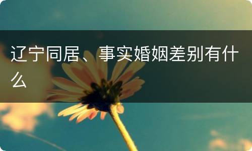 辽宁同居、事实婚姻差别有什么