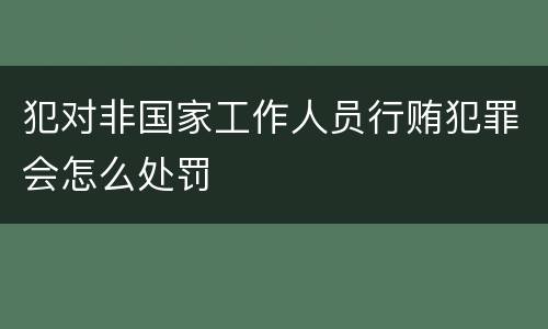 犯对非国家工作人员行贿犯罪会怎么处罚