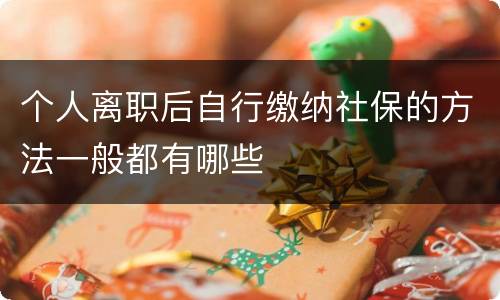 个人离职后自行缴纳社保的方法一般都有哪些