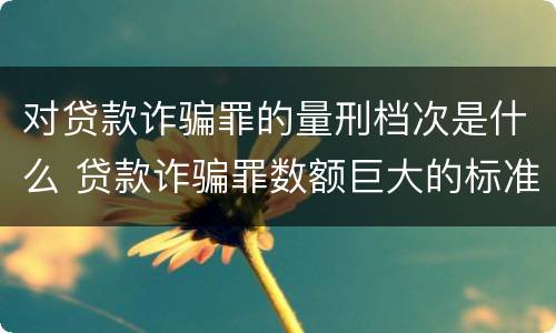 对贷款诈骗罪的量刑档次是什么 贷款诈骗罪数额巨大的标准是多少