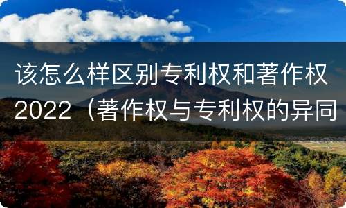 该怎么样区别专利权和著作权2022（著作权与专利权的异同）