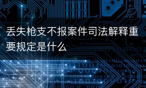 丢失枪支不报案件司法解释重要规定是什么