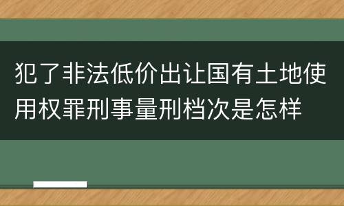 犯了非法低价出让国有土地使用权罪刑事量刑档次是怎样