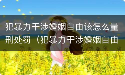 犯暴力干涉婚姻自由该怎么量刑处罚（犯暴力干涉婚姻自由该怎么量刑处罚多少钱）