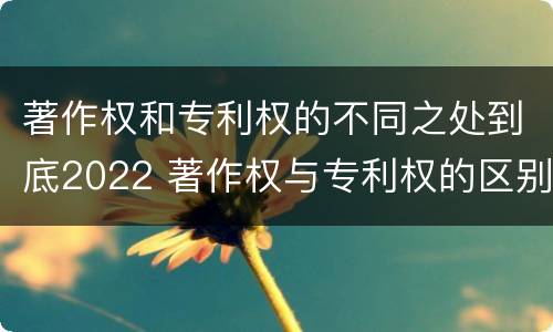 著作权和专利权的不同之处到底2022 著作权与专利权的区别