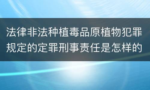 法律非法种植毒品原植物犯罪规定的定罪刑事责任是怎样的