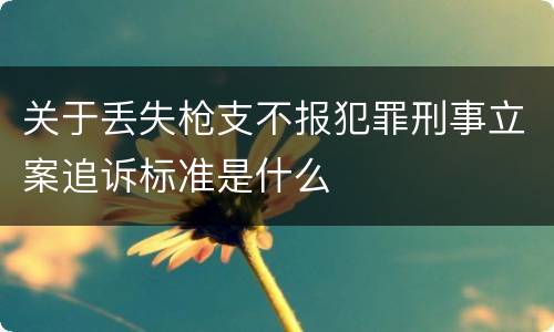 关于丢失枪支不报犯罪刑事立案追诉标准是什么