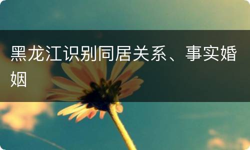 黑龙江识别同居关系、事实婚姻