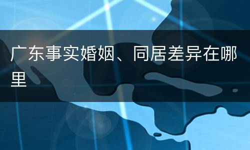 广东事实婚姻、同居差异在哪里