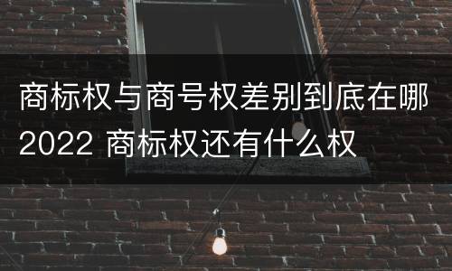 商标权与商号权差别到底在哪2022 商标权还有什么权