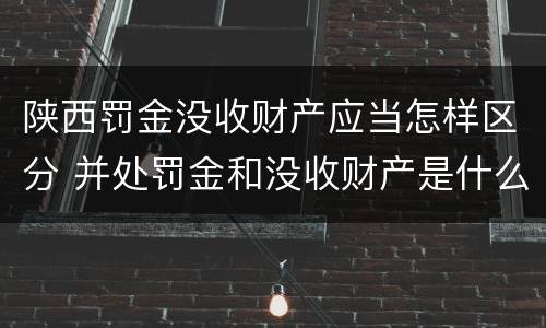 陕西罚金没收财产应当怎样区分 并处罚金和没收财产是什么意思