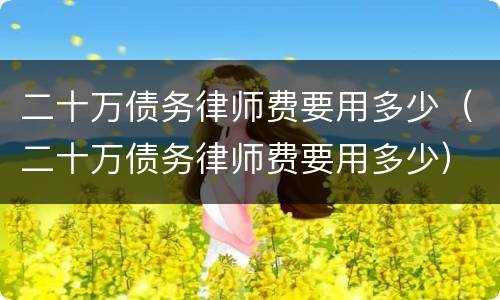 二十万债务律师费要用多少（二十万债务律师费要用多少）