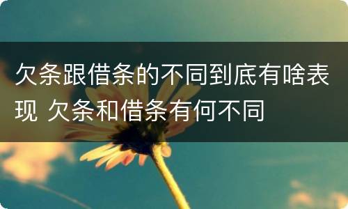 欠条跟借条的不同到底有啥表现 欠条和借条有何不同