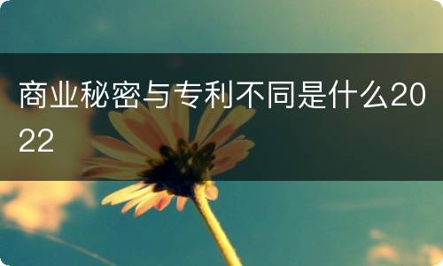 商业秘密与专利不同是什么2022