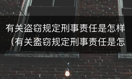 有关盗窃规定刑事责任是怎样（有关盗窃规定刑事责任是怎样判定的）