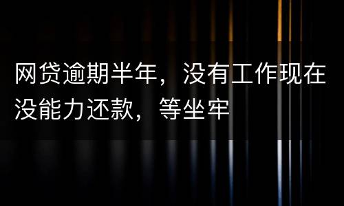 网贷逾期半年，没有工作现在没能力还款，等坐牢