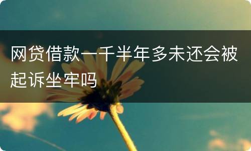 网贷借款一千半年多未还会被起诉坐牢吗