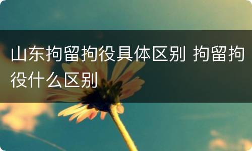 山东拘留拘役具体区别 拘留拘役什么区别